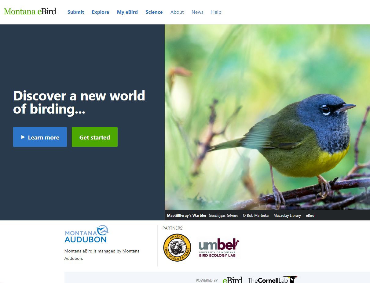 Montana eBird